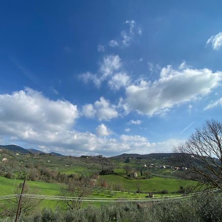 Villa La Casa Di Diana Montecchio  Esterno foto
