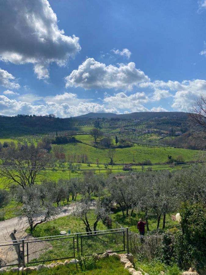 Villa La Casa Di Diana Montecchio  Esterno foto