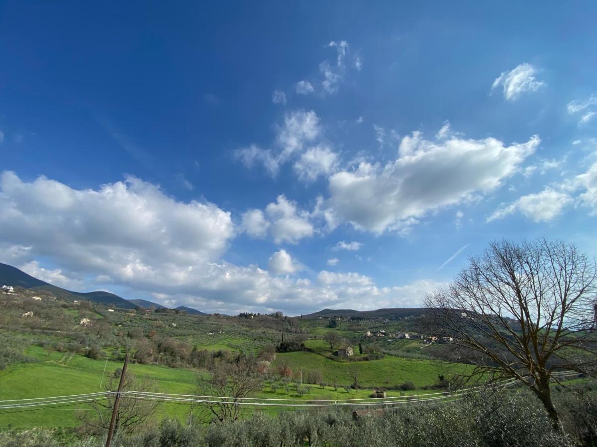 Villa La Casa Di Diana Montecchio  Esterno foto