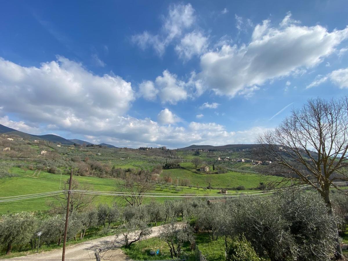 Villa La Casa Di Diana Montecchio  Esterno foto